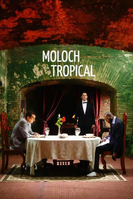 Moloch Tropical